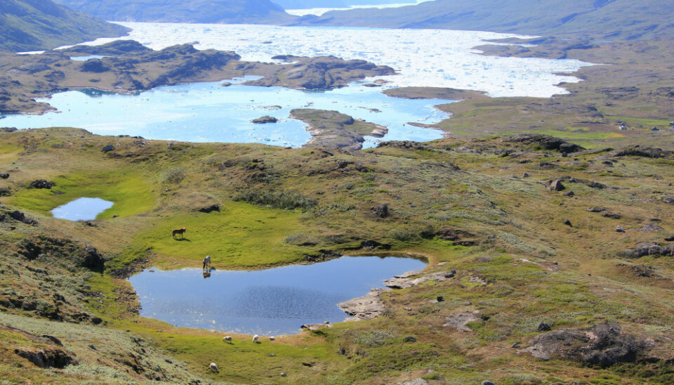 Climate Change Reveals Ancient Artefacts In Norway S Glaciers   Climate Change Reveals Ancient Artefacts In Norways Glaciers – Cambridge IELTS 16 Test 3 